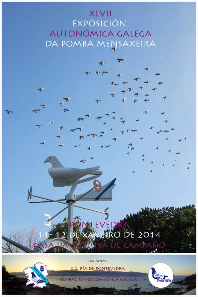 Cartel de la XLVII Exposición de la Fedración gallega